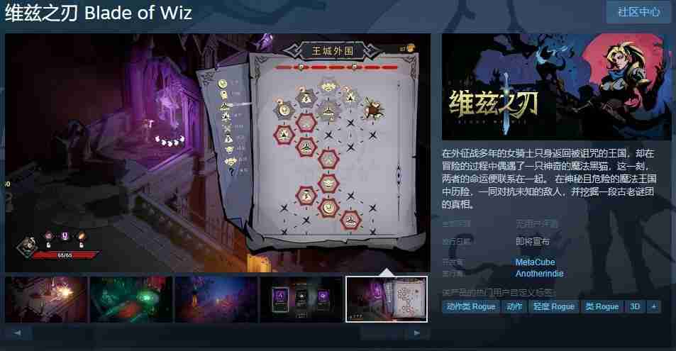 肉鸽游戏《维兹之刃》Steam页面开放 发售日待定