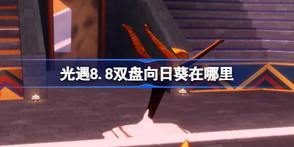 光遇8.8双盘向日葵在哪里 光遇8月8日有友节代币收集攻略