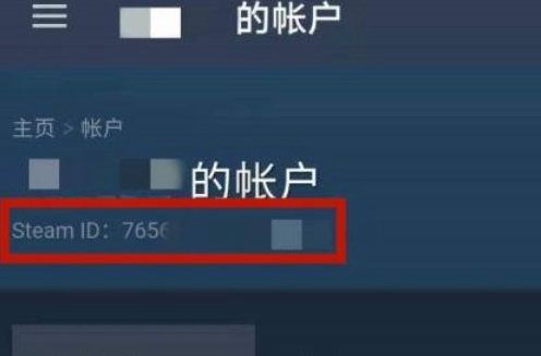 《steam手机版》17位id怎么查看