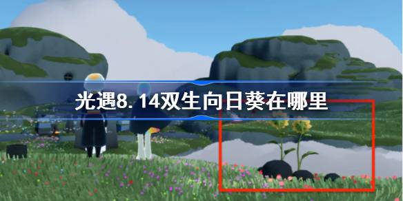 光遇8.14双生向日葵在哪里 光遇8月14日有友节代币收集攻略